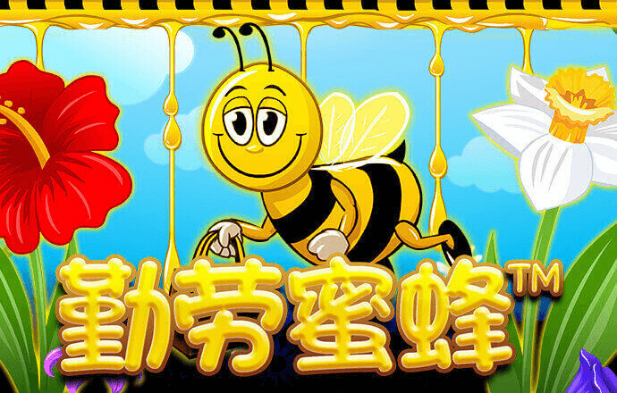 93体育官网